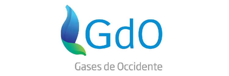 Gases de Occidente