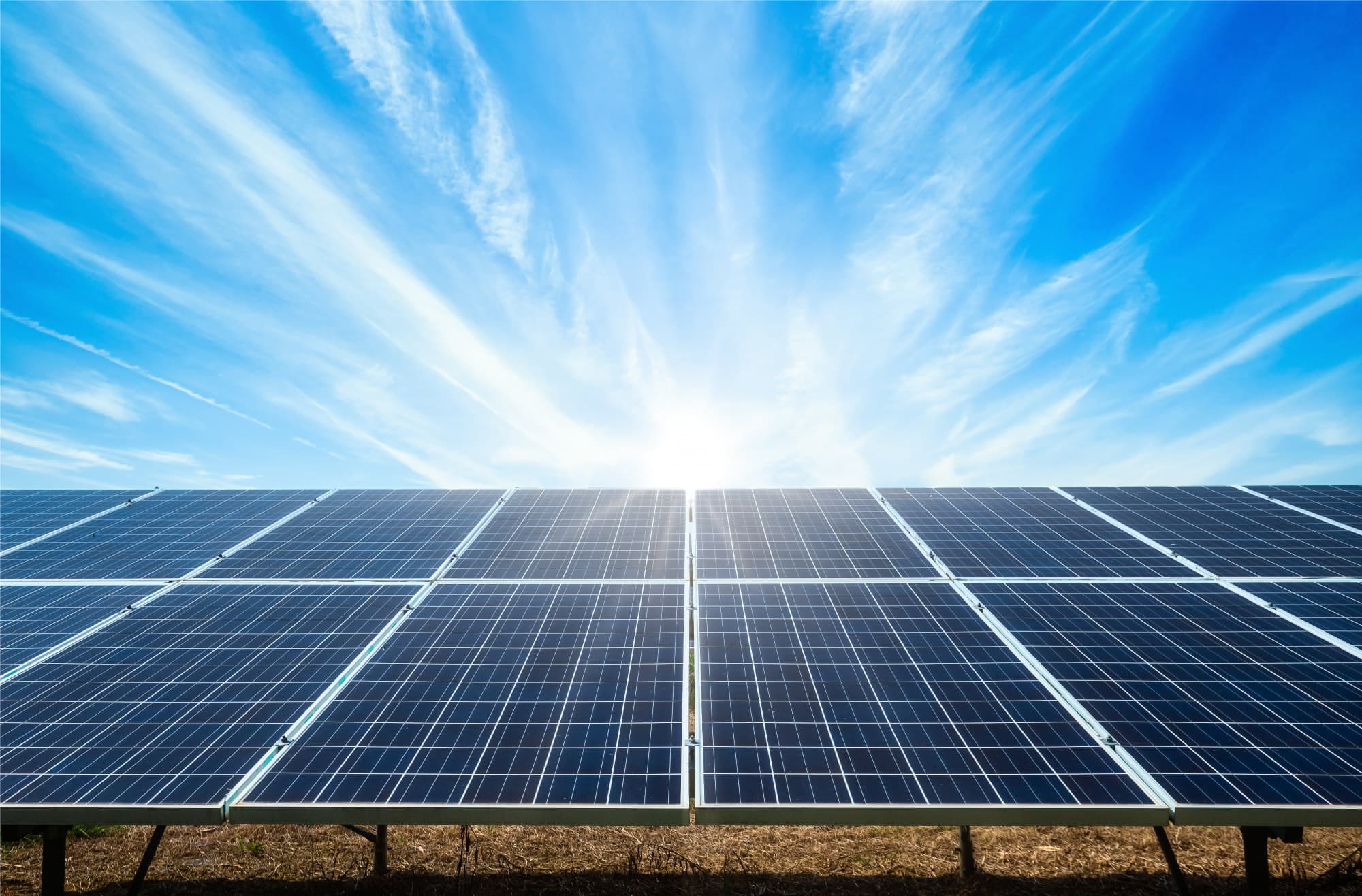 Granja de paneles solares bajo un cielo despejado